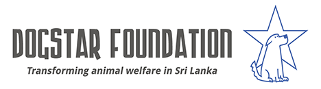 Samantha Green saves dogs in Sri Lanka