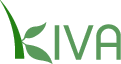 Kiva micro-loans