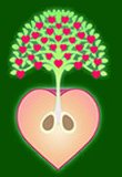 Fruit Tree Foundation