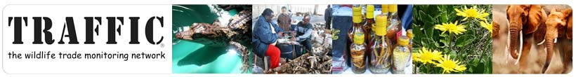 Traffic - the wildlife trade monitoring network