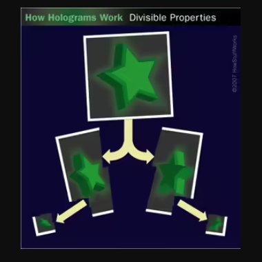 holograms split