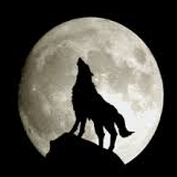 Wolf Howing at the Moon