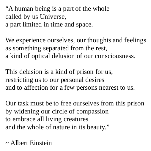 Einstein recommended Compassion